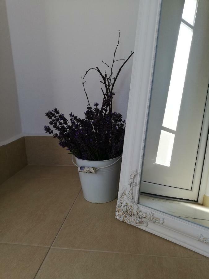 Apartman Julrich 브르보우 외부 사진